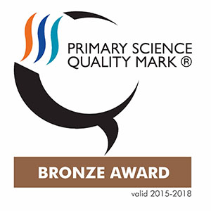 primary science bronze award 2015