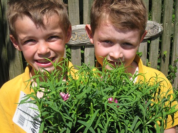 greenfingers day