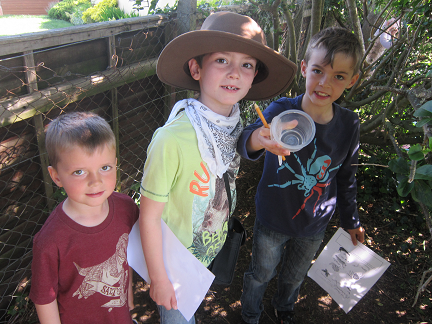 june5 002 bug hunt